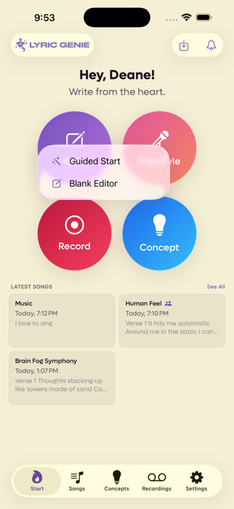 The Write button on the Start tab, expanded to show Guided Start and Blank Editor